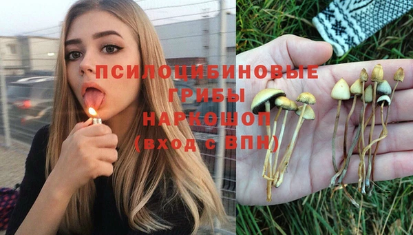 дмт Абаза
