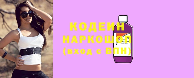 дмт Абаза