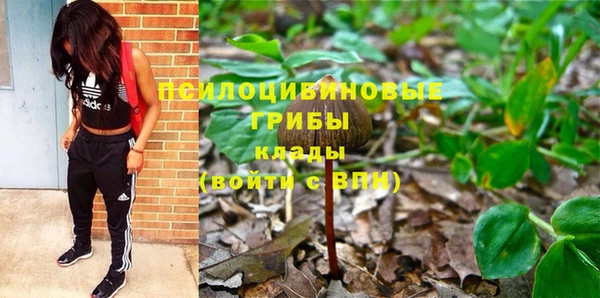 дмт Абаза
