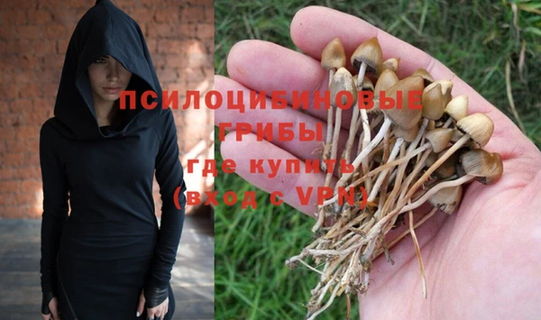 бутик Снежногорск